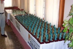 Entrega_trofeos_San_Vicente_Raspeig_2007_002