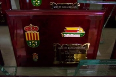 Entrega_trofeos_San_Vicente_Raspeig_2007_009