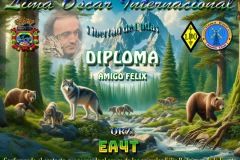 Diploma-Amigo-Felix