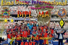 Diploma-Copa-mundia-de-la-fifa