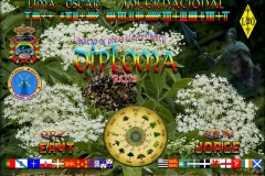 Diploma-Luna-del-Sauco