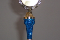 VI_trofeo_de_los_deportes