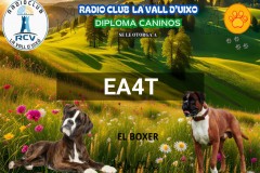Diploma-Caninos-El-Boxer