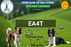 Diploma-caninos-Border-Collie