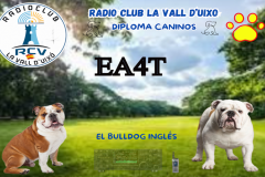 Diploma-caninos-Buldog-ingles