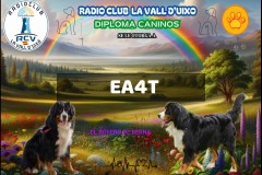 Diploma-el-Boyero-de-berna