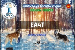 Diploma-el-Husky-siberiano