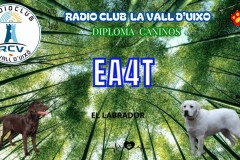 Diploma-el-Labrador